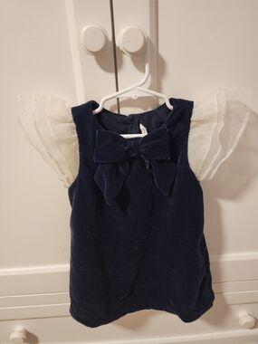 Janie and Jack Navy Blue Velvet Dress with Cream Organza Sleeves